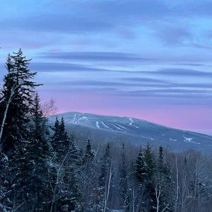 Meet your Posher, Presley